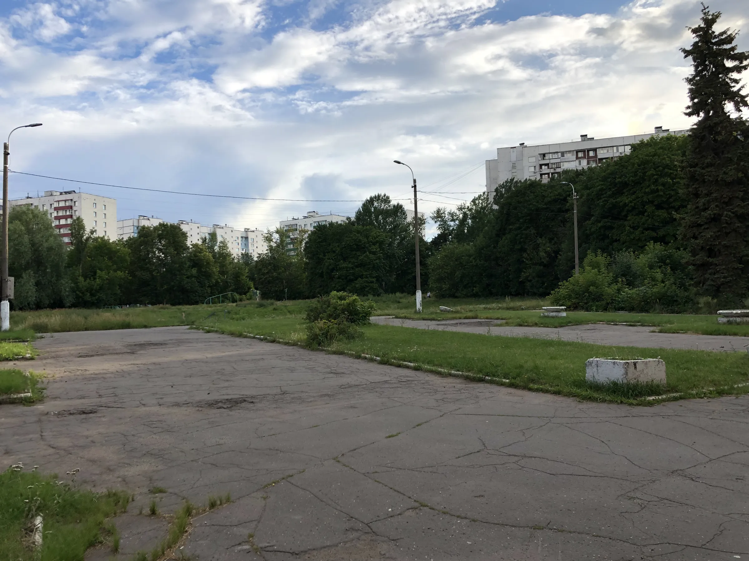 Зеленый парк у воды, фото 14