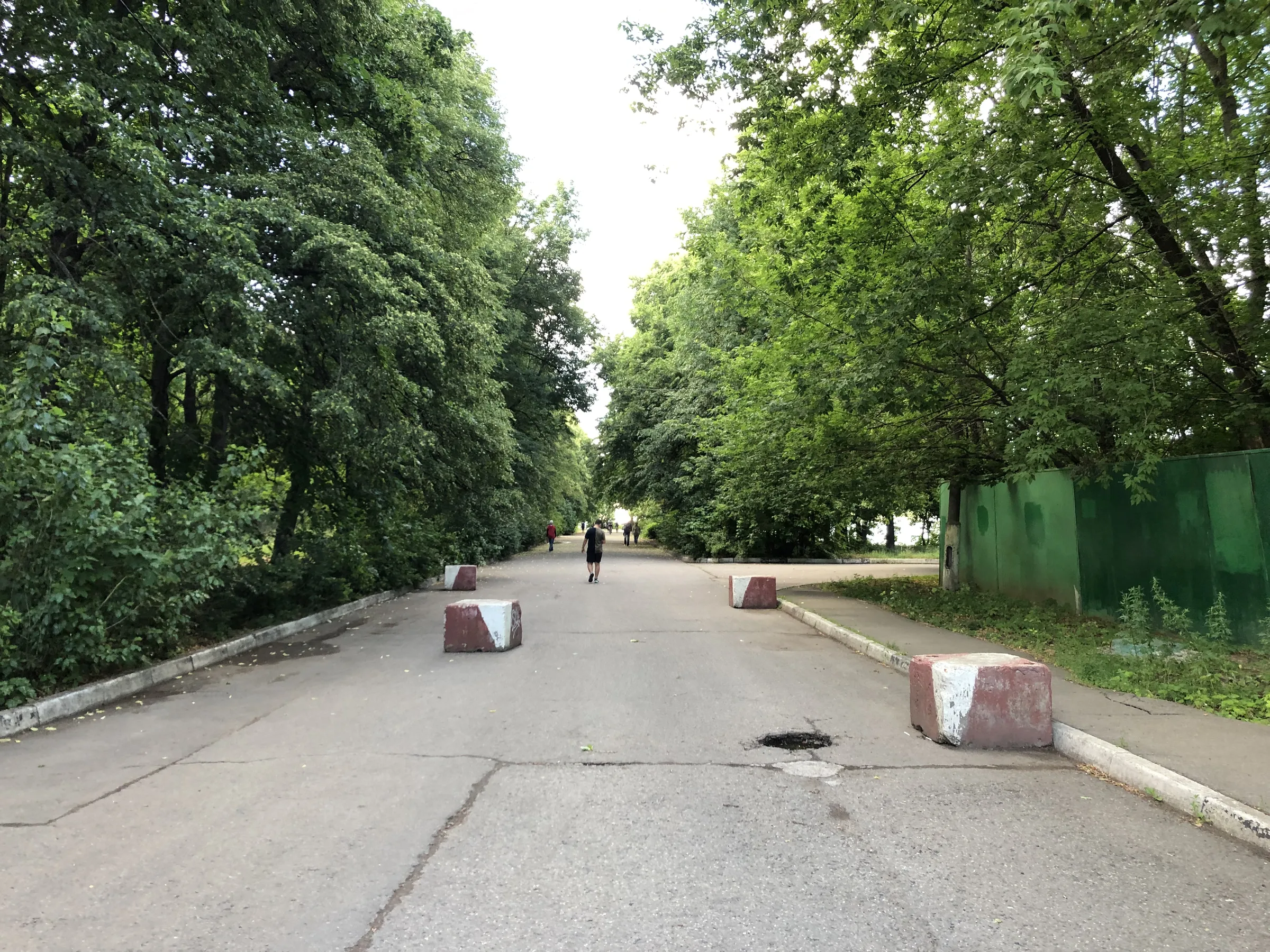 Зеленый парк у воды, фото 1