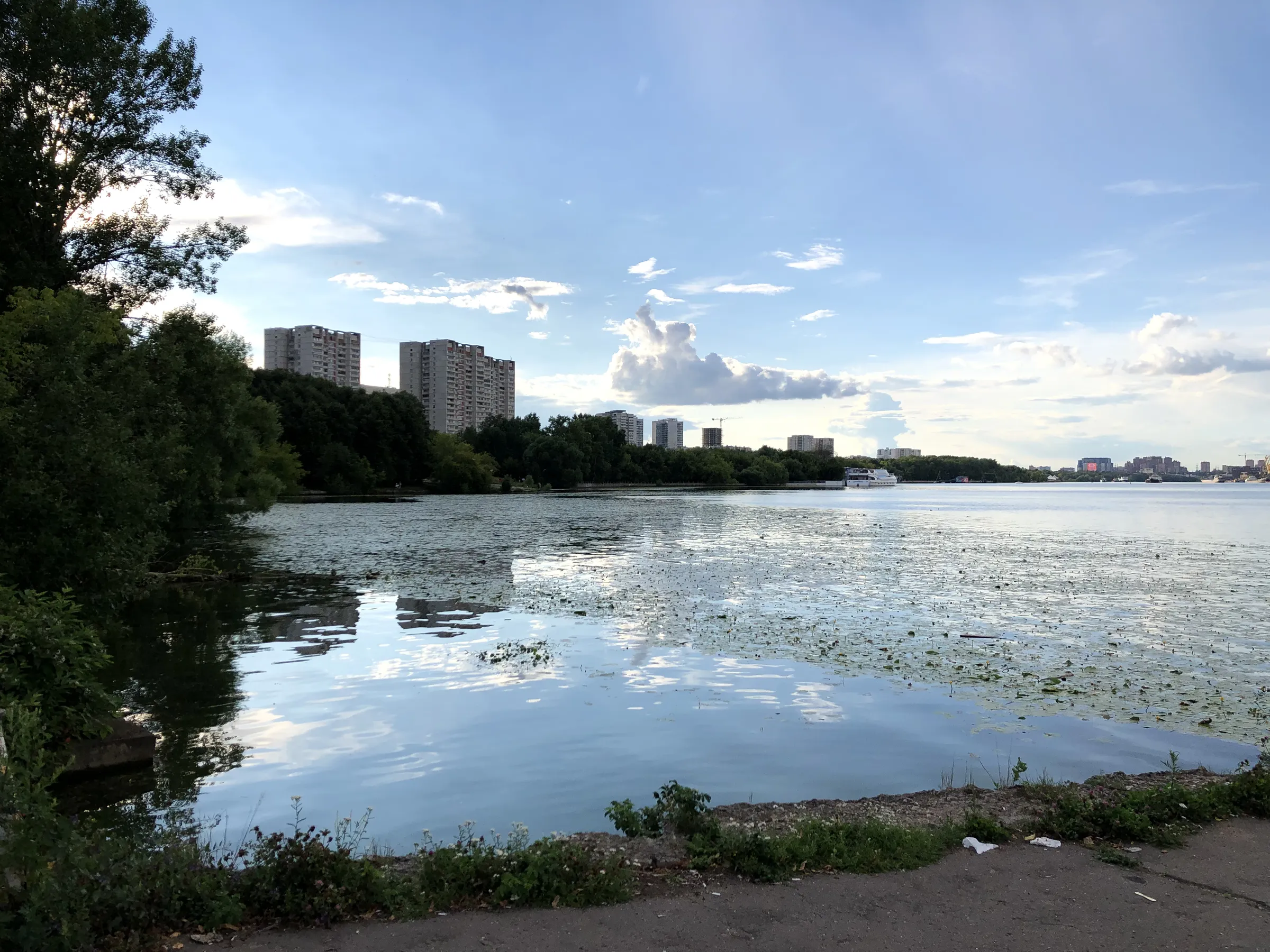 Зеленый парк у воды, фото 9