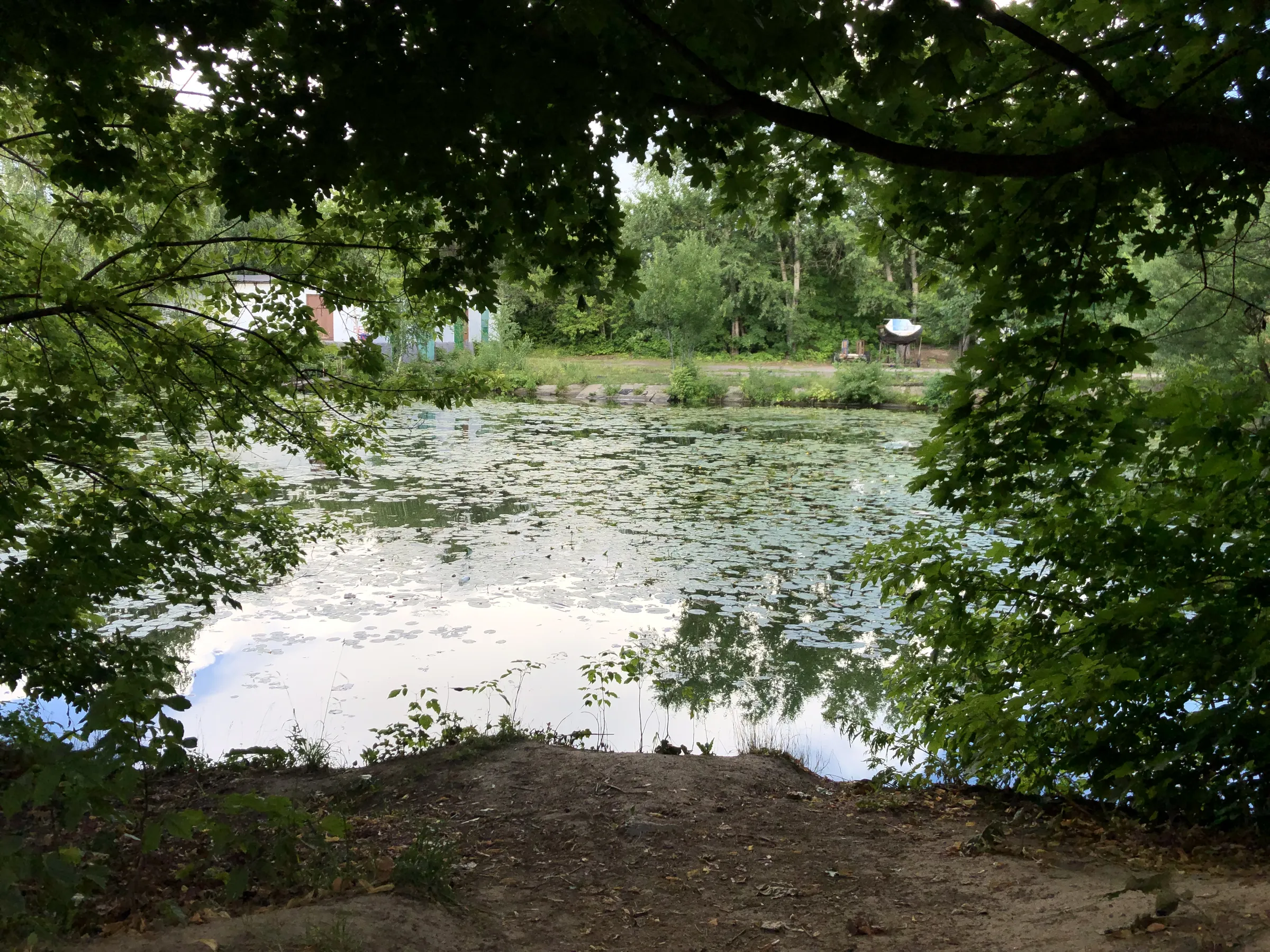 Зеленый парк у воды, фото 5