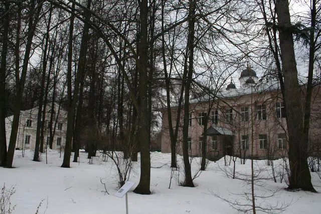 Усадьба с зимним парком, фото 17