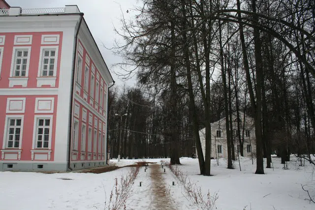 Усадьба с зимним парком, фото 16