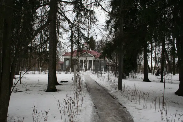 Усадьба с зимним парком, фото 2