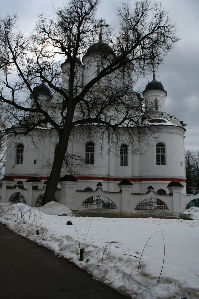 Усадьба с зимним парком, фото 6