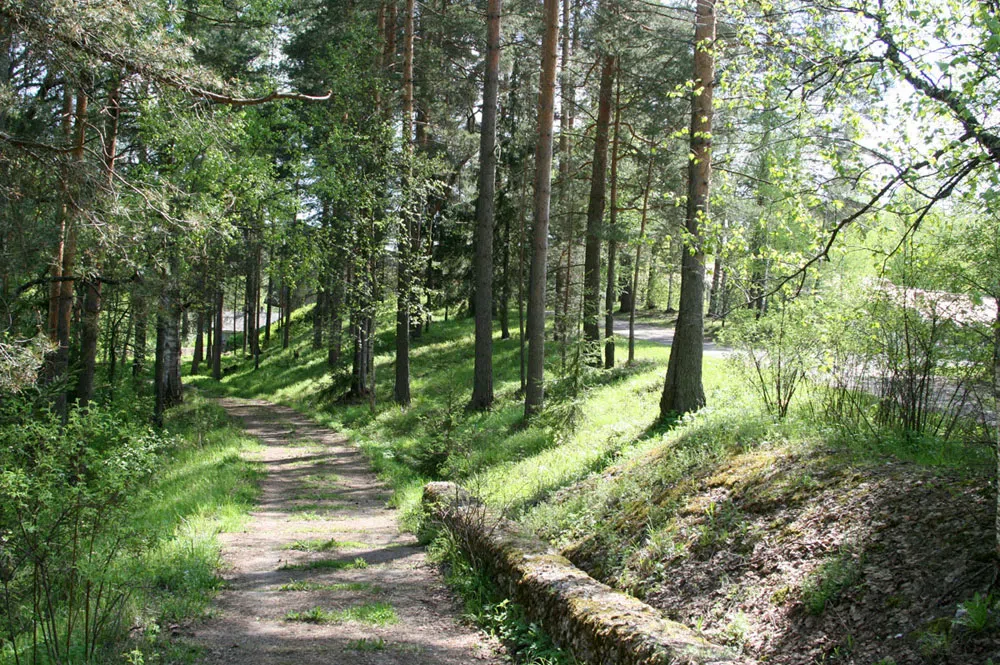 Резная изба у пруда, фото 4