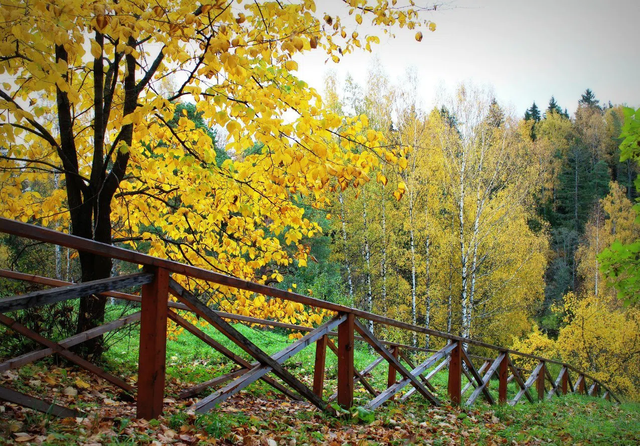 Резная изба у пруда, фото 3