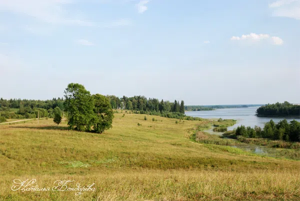 Резная дача у леса, фото 12