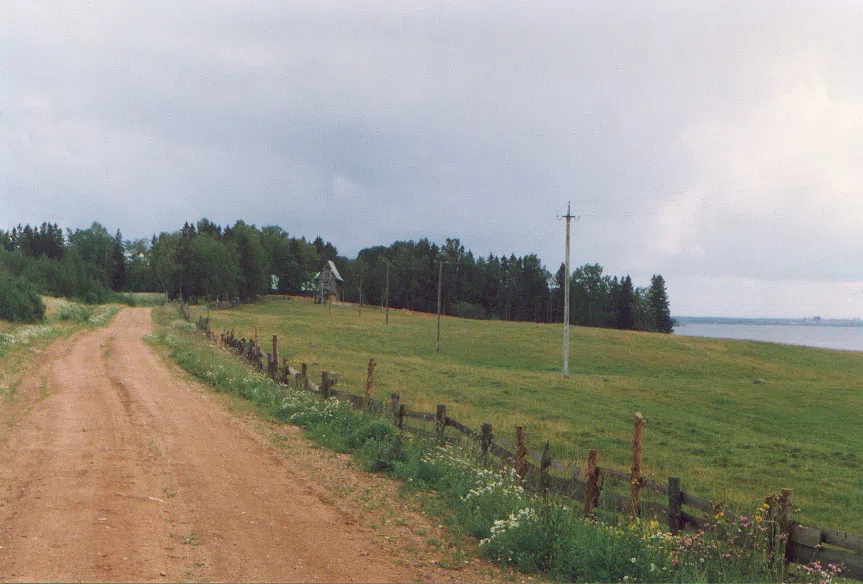 Резная дача у леса, фото 11