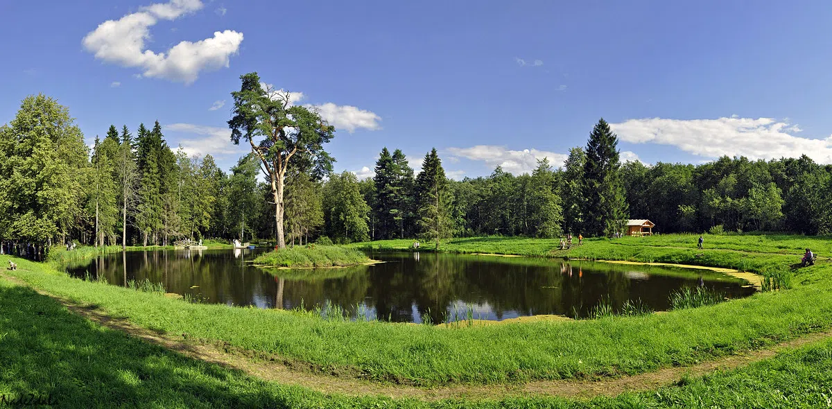Усадьба с колоннадами, фото 10