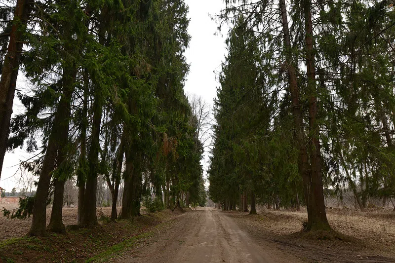Усадьба с озером, фото 7