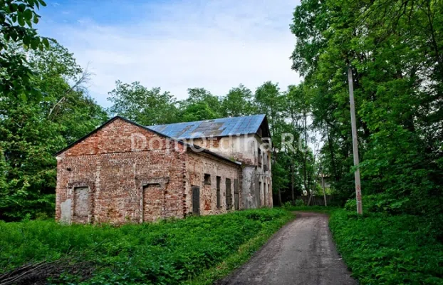 Усадьба с колоннами в лесу, фото 7