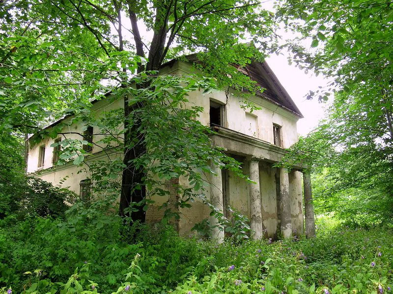 Усадьба с колоннами в лесу, фото 8