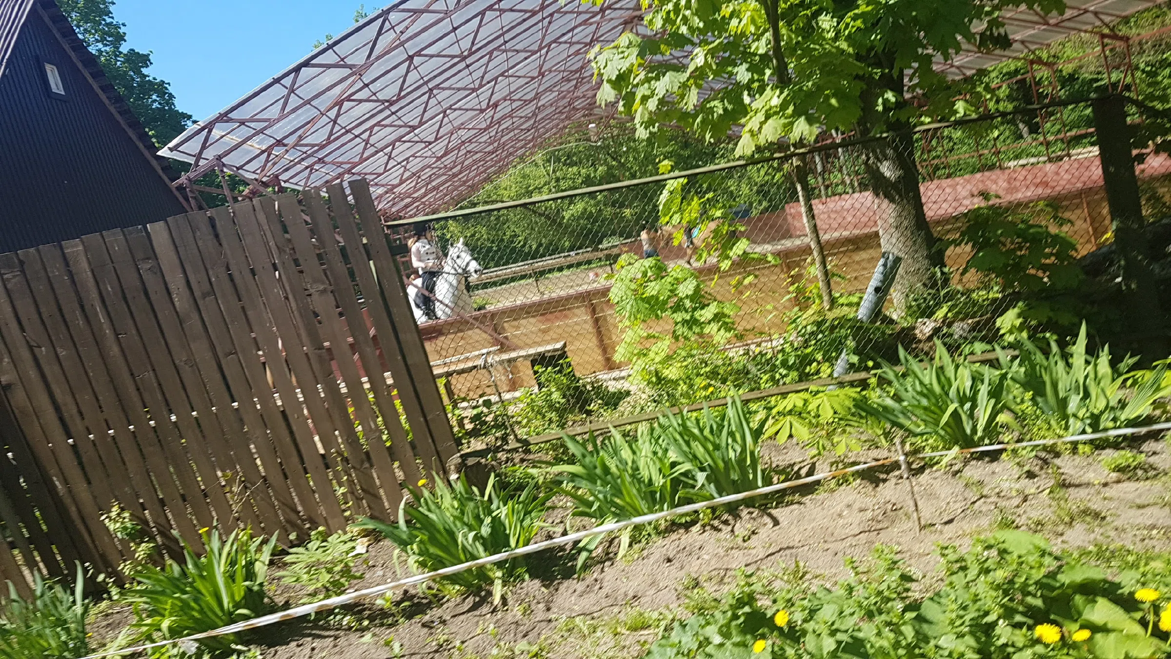 Усадьба с колоннадой, фото 5