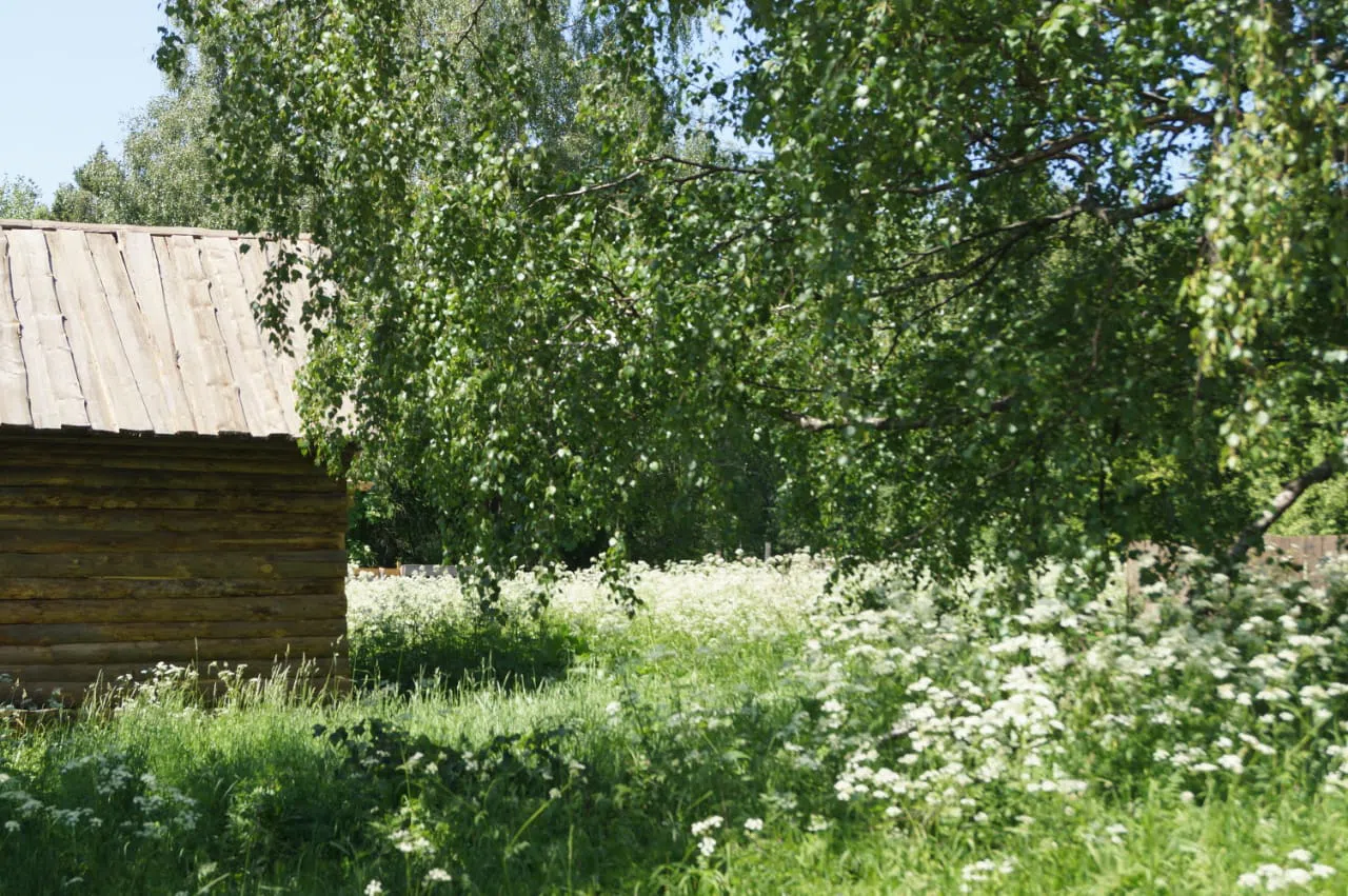 Деревня в русском стиле, фото 9