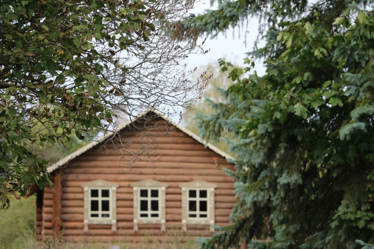 Деревня в русском стиле, фото 1