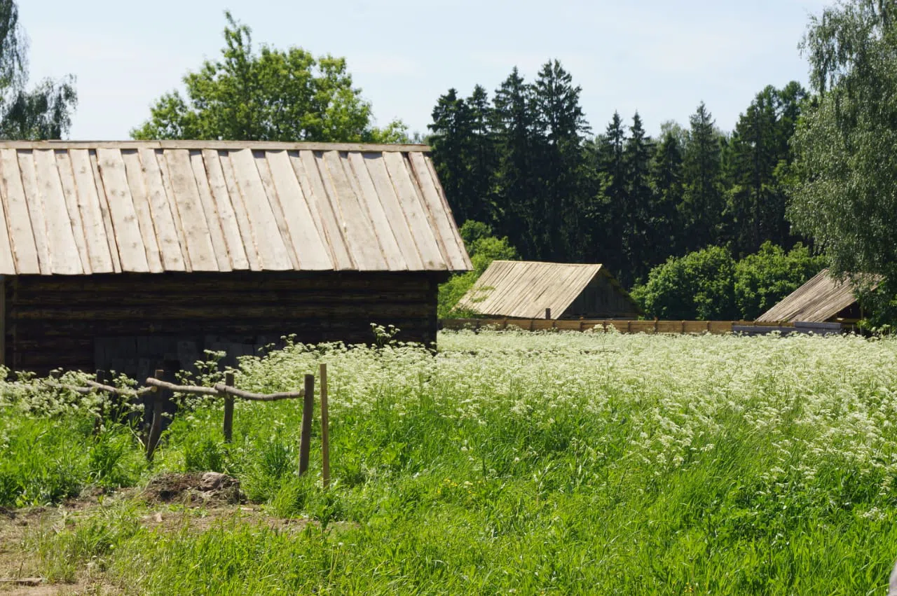 Деревня в русском стиле, фото 7