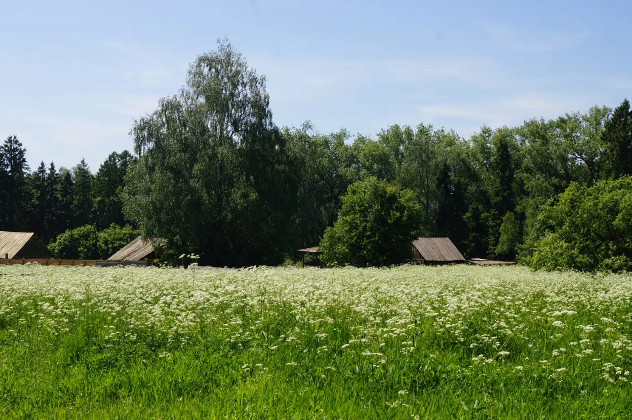Деревня в русском стиле, фото 6