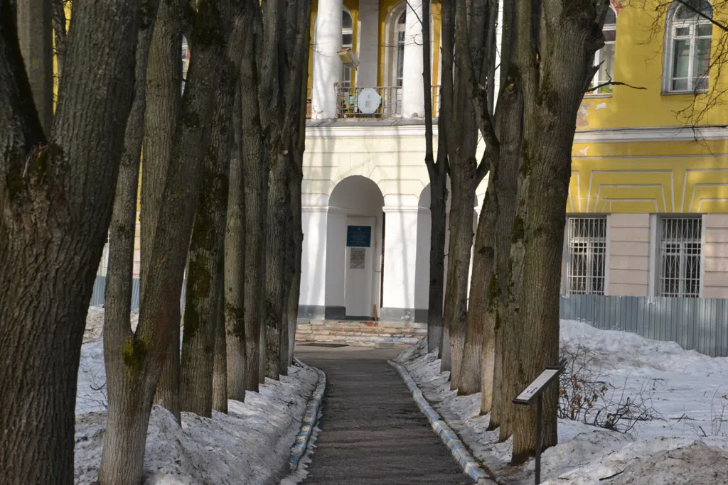 Усадьба в старинном парке, фото 3