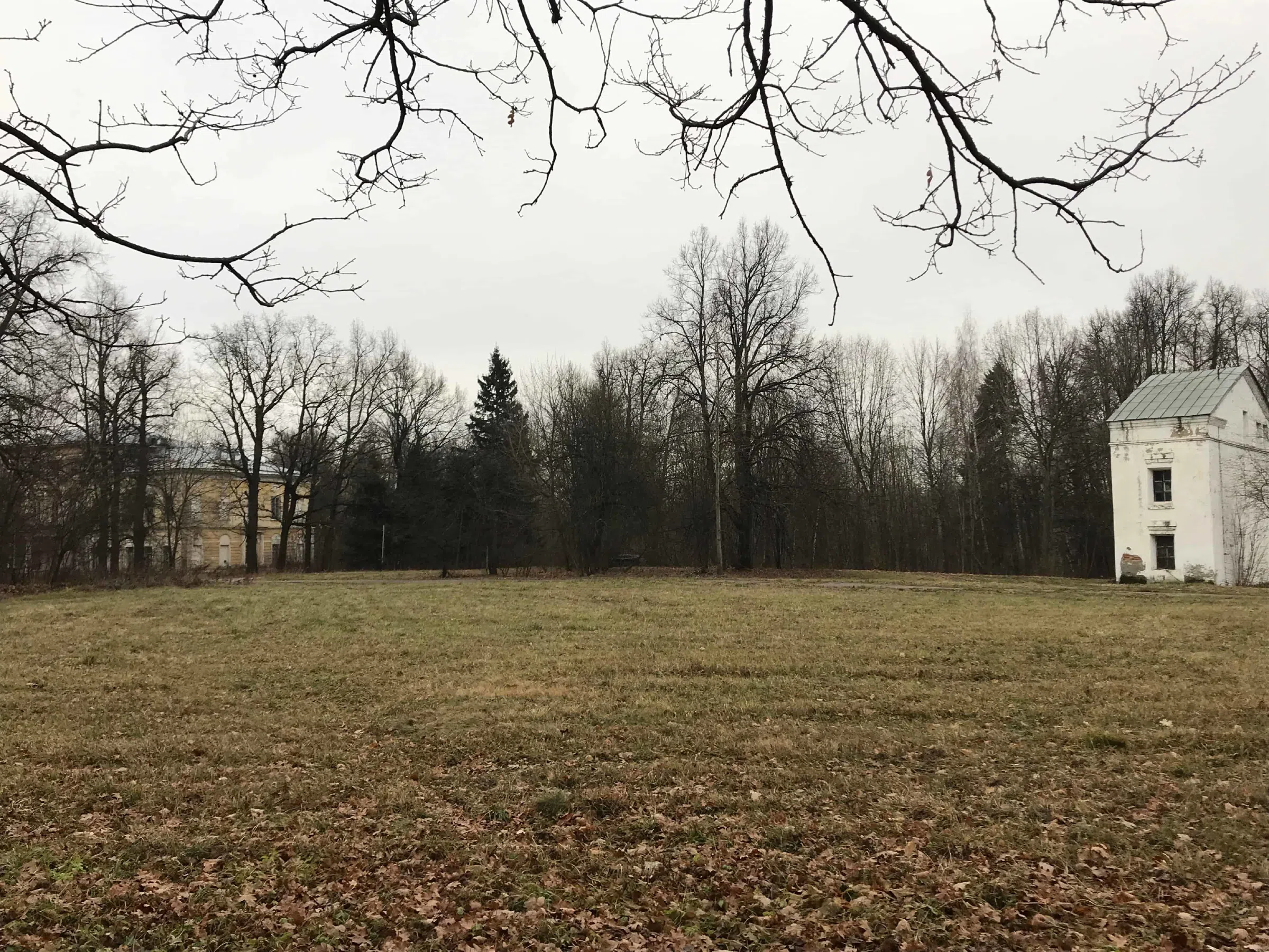 Классическая усадьба в лесу, фото 12