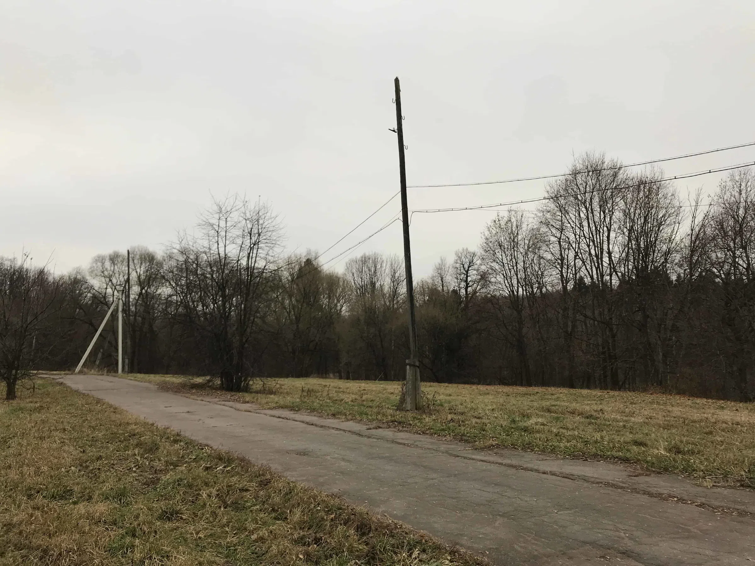 Классическая усадьба в лесу, фото 4