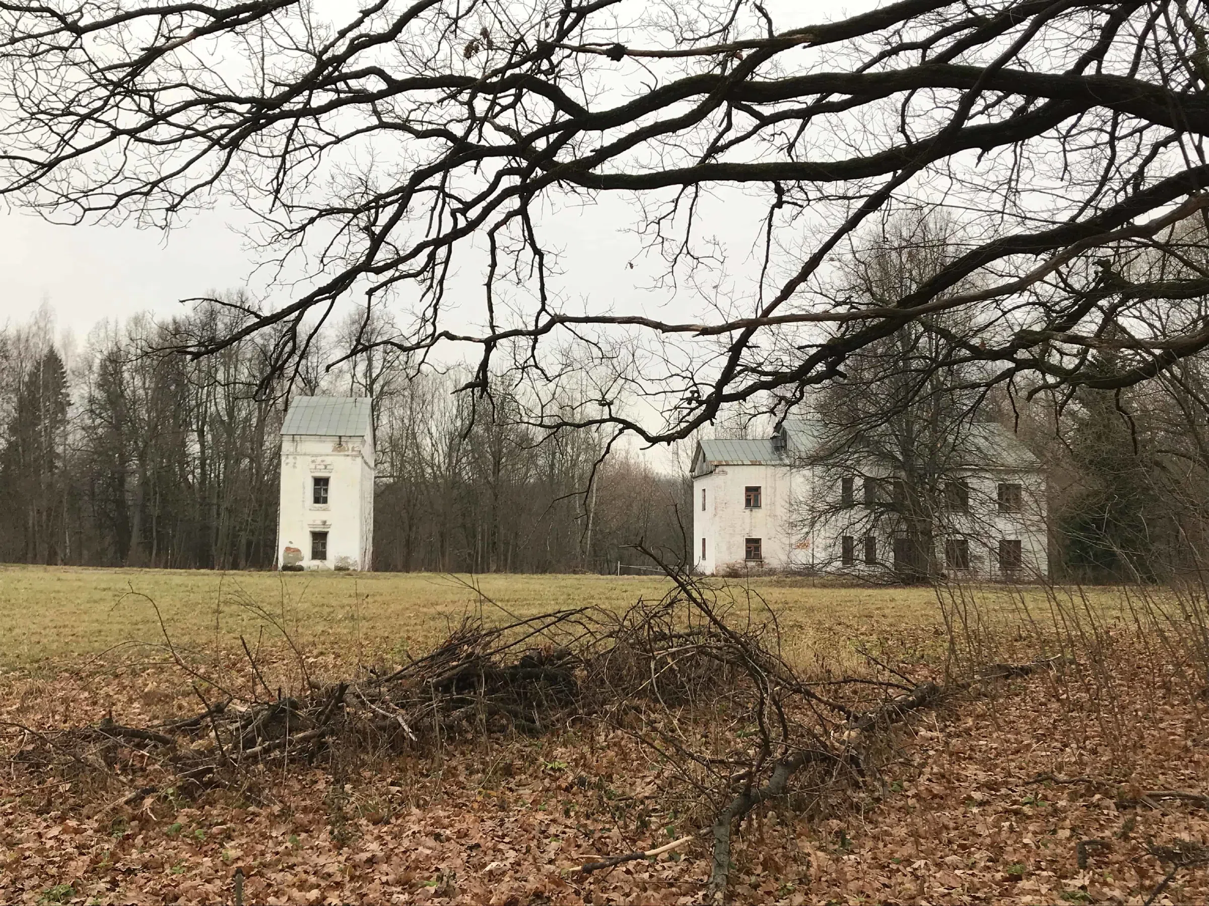 Классическая усадьба в лесу, фото 11