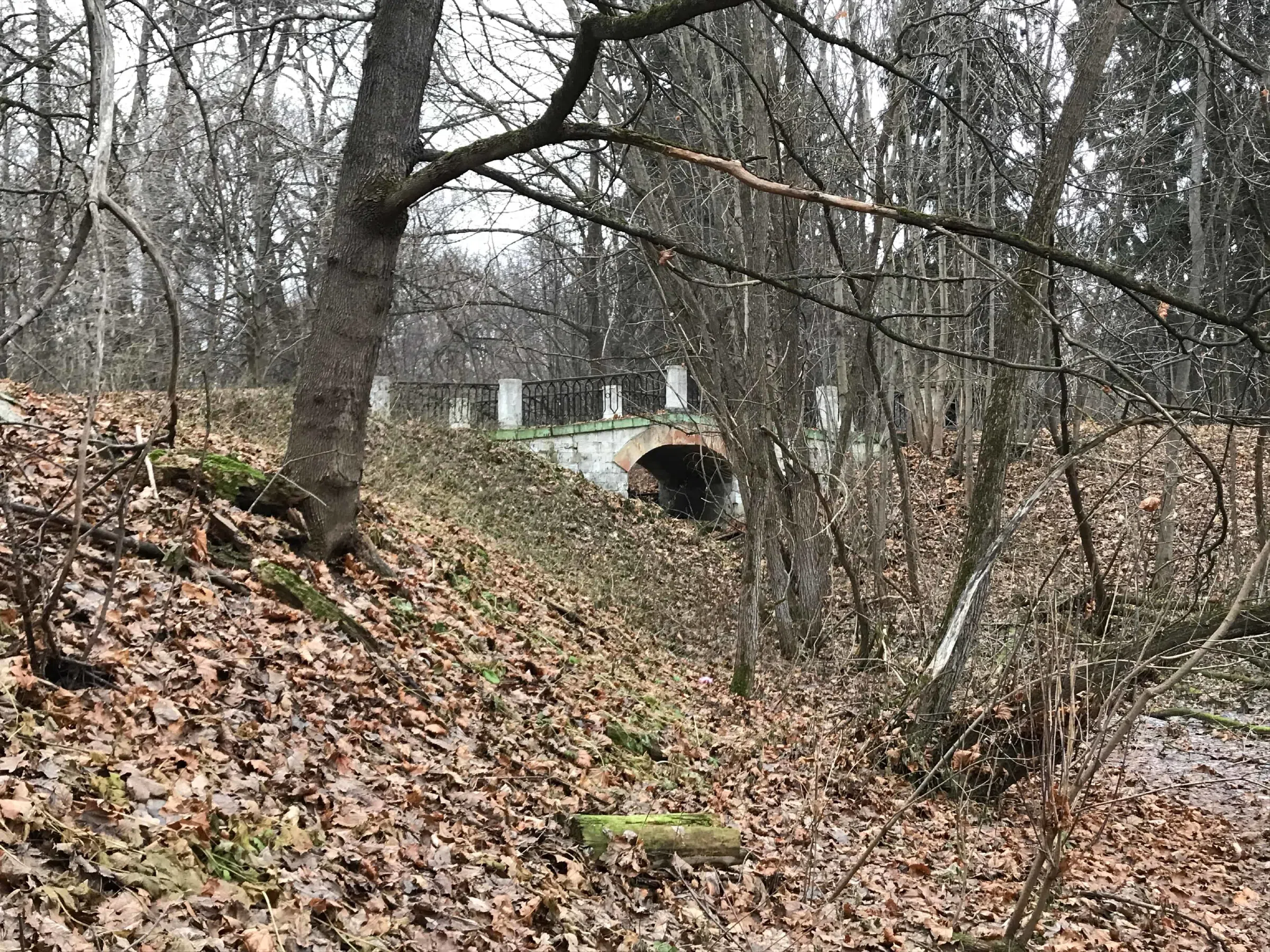 Классическая усадьба в лесу, фото 21
