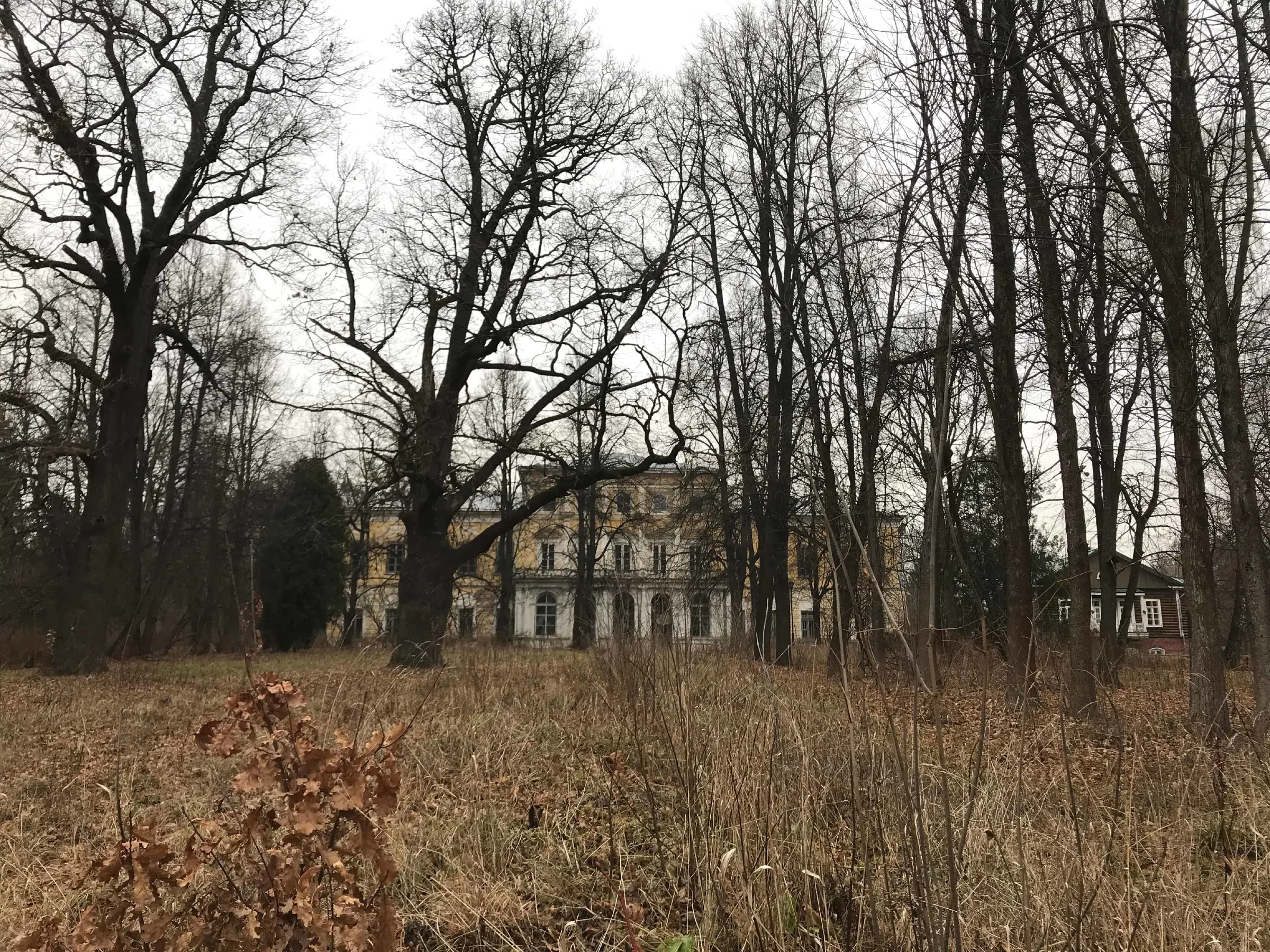 Классическая усадьба в лесу, фото 18