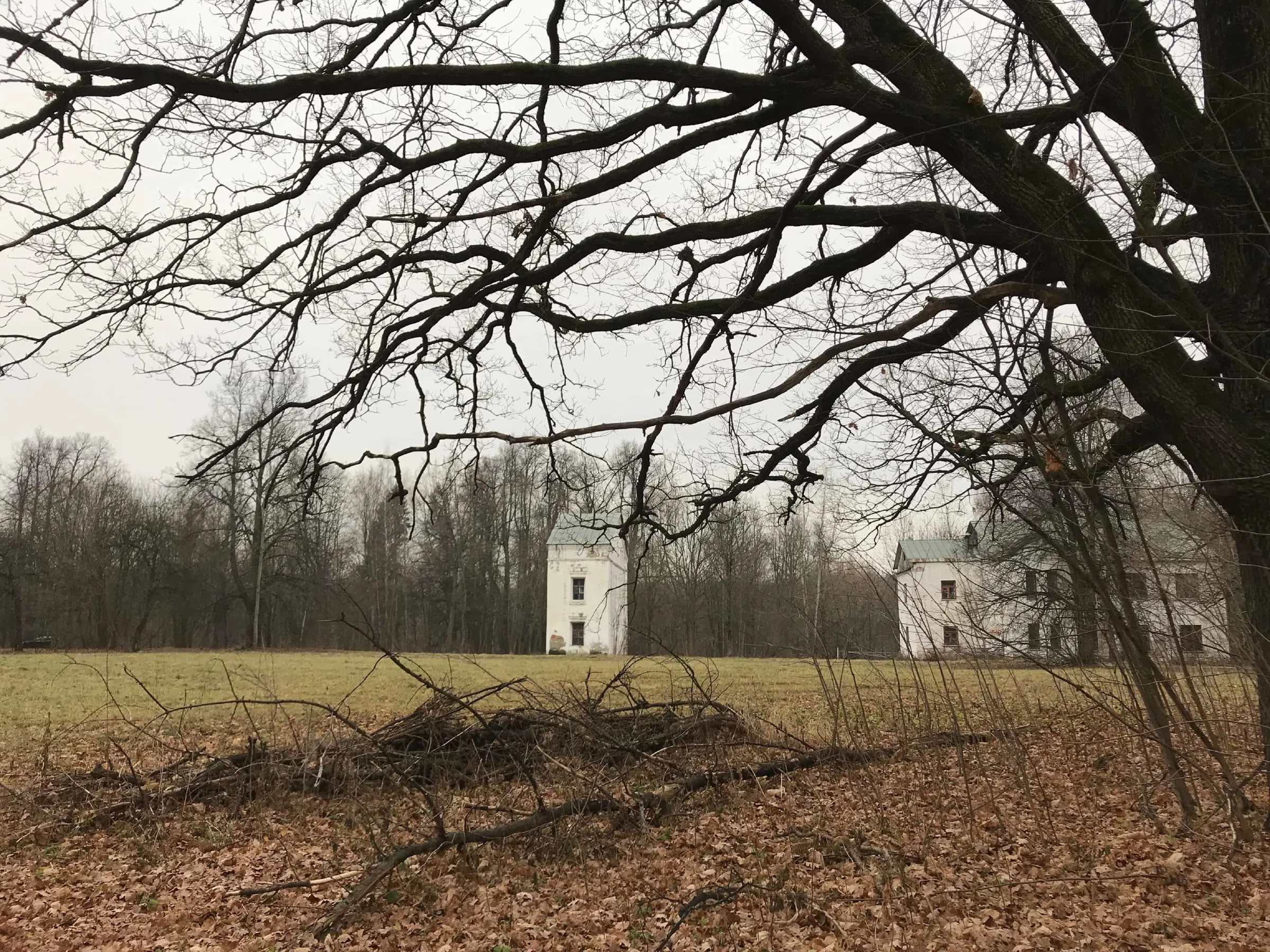 Классическая усадьба в лесу, фото 9