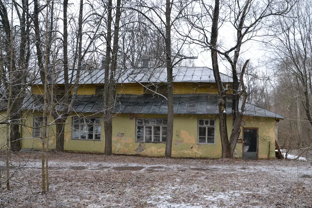 Заброшенная деревня в лесу, фото 13
