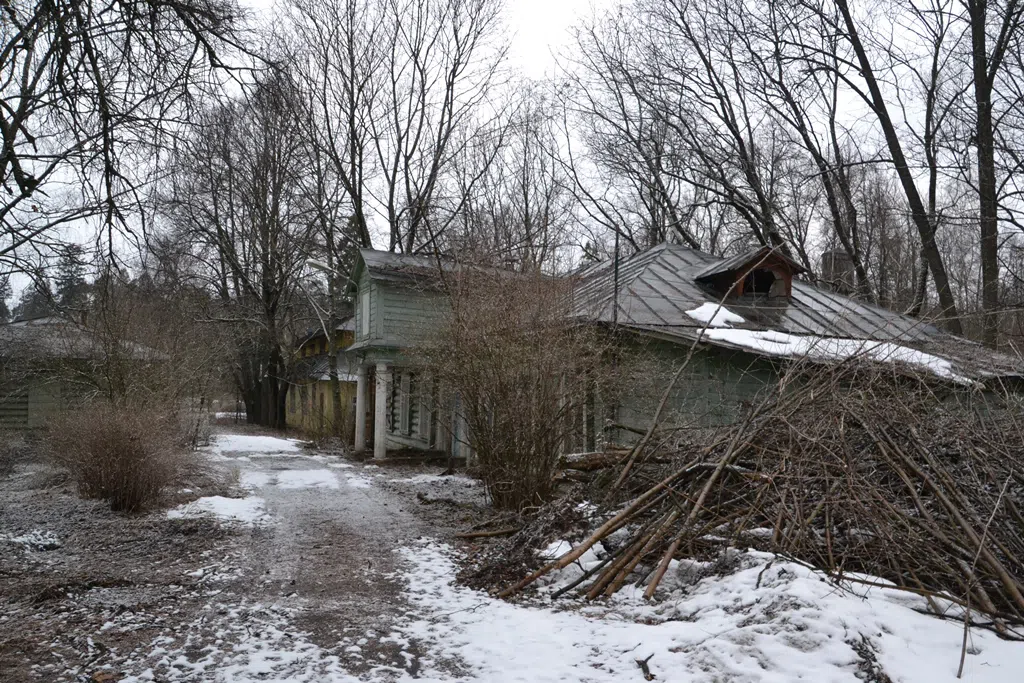 Заброшенная деревня в лесу, фото 6