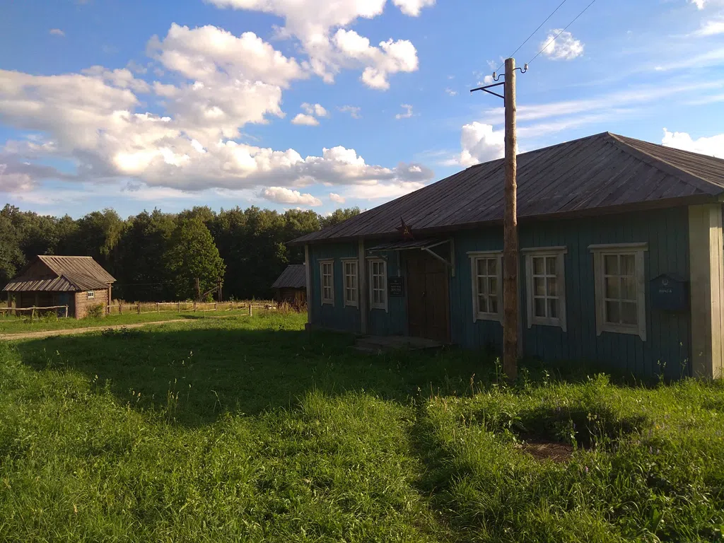 Деревенский дом в поле, фото 23