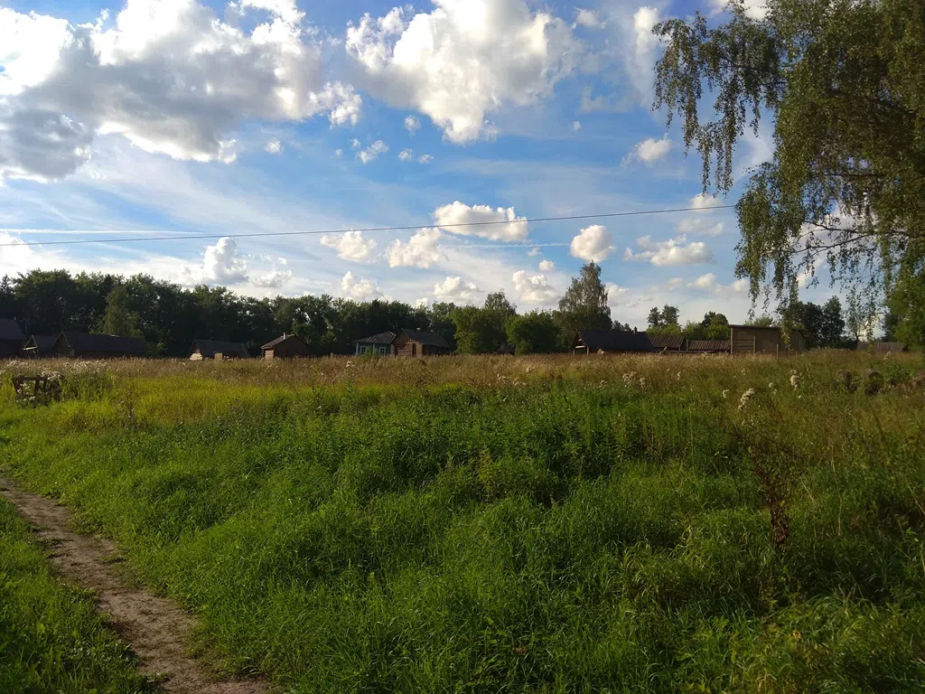 Деревенский дом в поле, фото 2