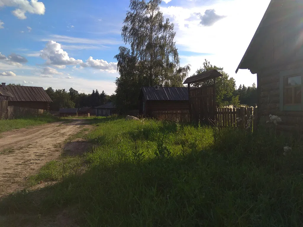 Деревенский дом в поле, фото 17