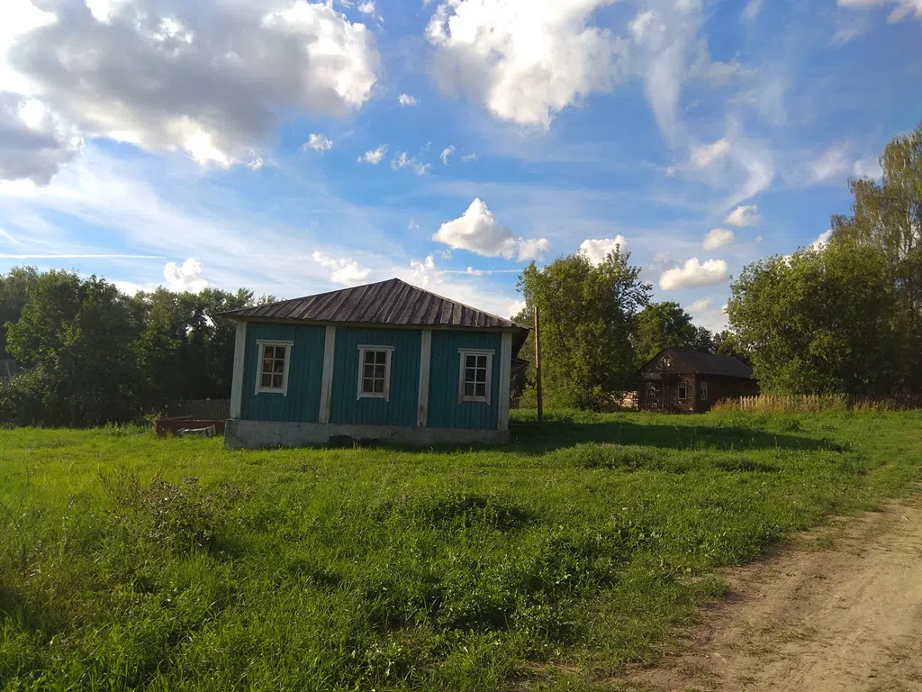 Деревенский дом в поле, фото 9