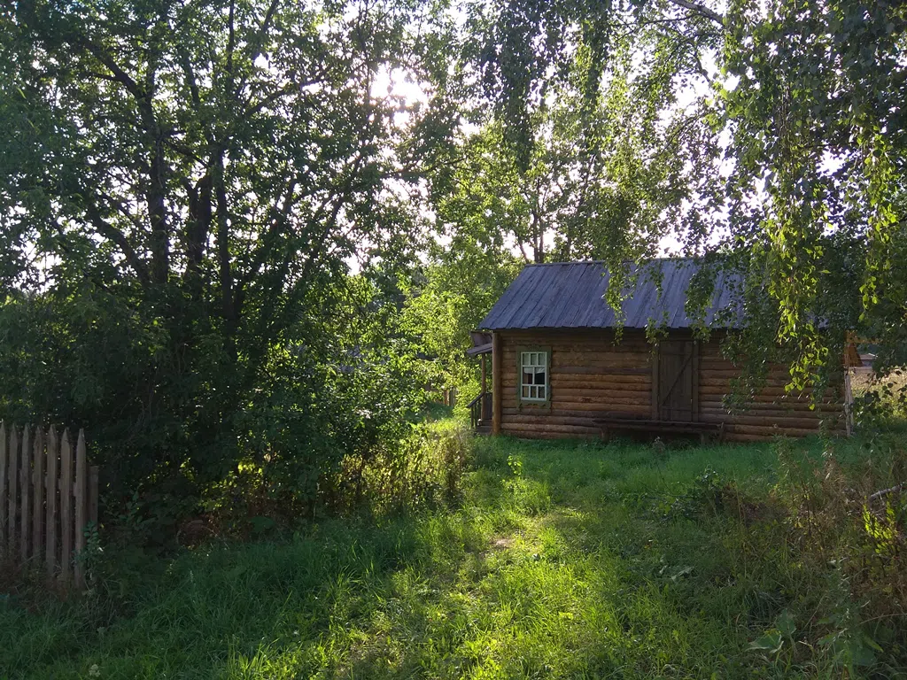 Деревенский дом в поле, фото 21