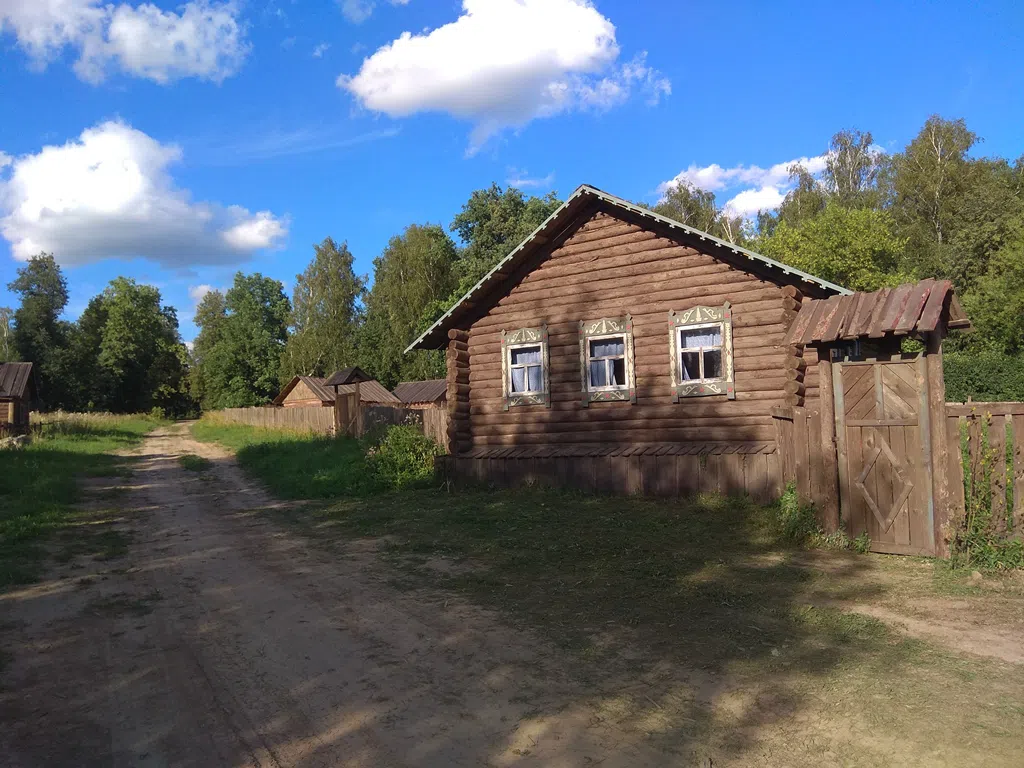 Деревенский дом в поле, фото 15