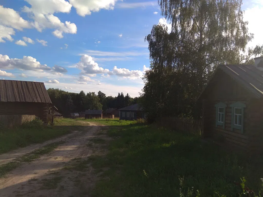 Деревенский дом в поле, фото 19