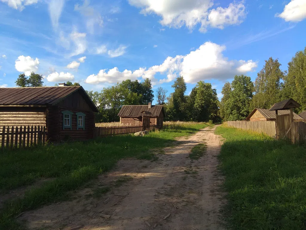 Деревенский дом в поле, фото 16