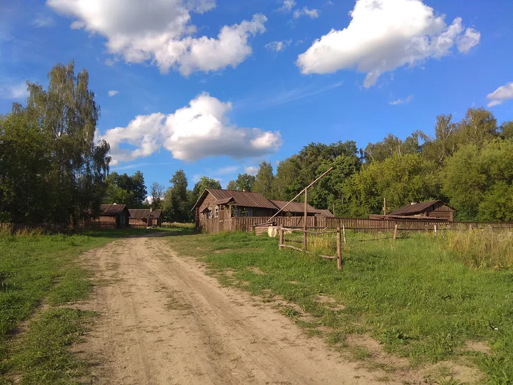 Деревенский дом в поле, фото 12
