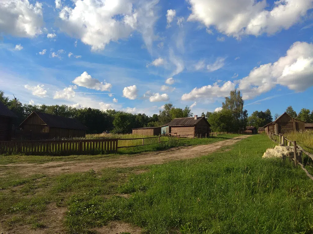 Деревенский дом в поле, фото 6