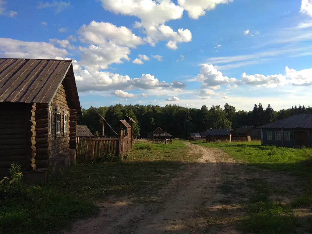 Деревенский дом в поле, фото 20