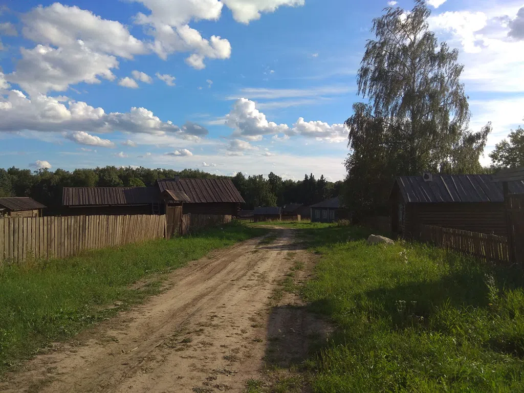 Деревенский дом в поле, фото 18