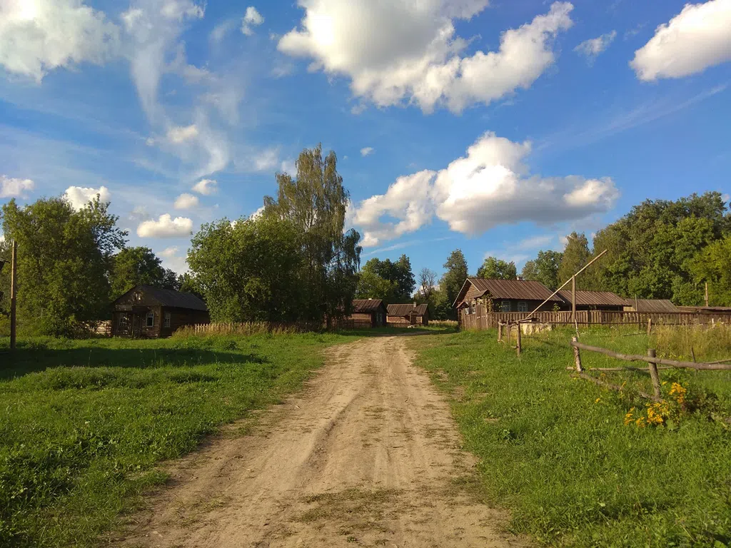 Деревенский дом в поле, фото 10
