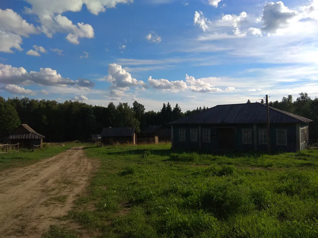 Деревенский дом в поле, фото 22