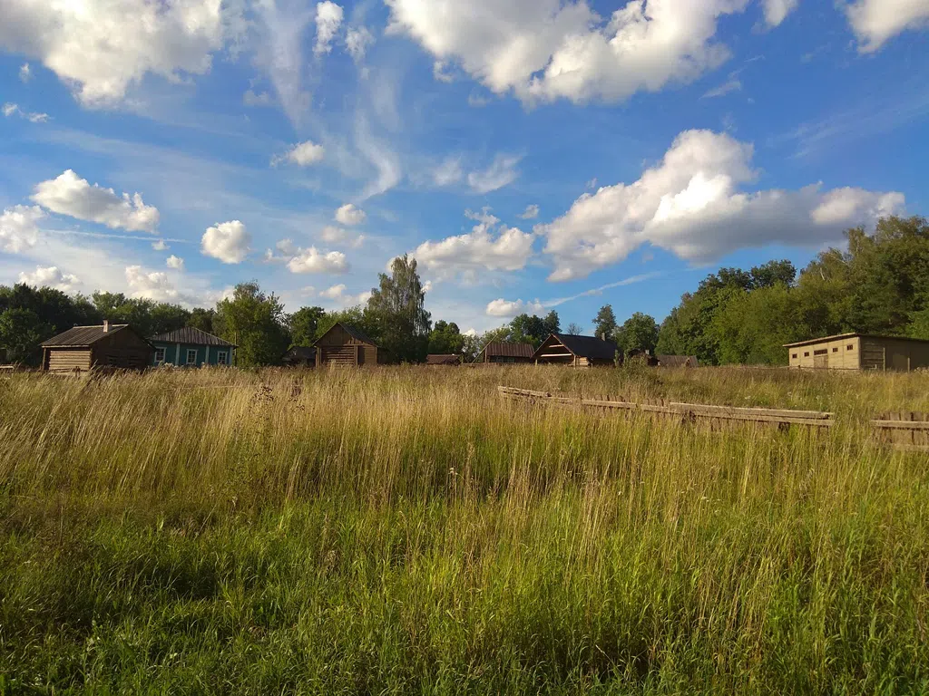 Деревенский дом в поле, фото 3