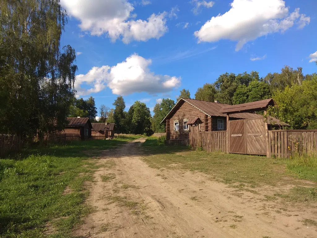 Деревенский дом в поле, фото 14