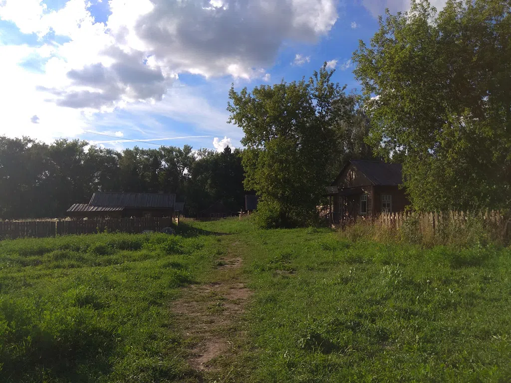 Деревенский дом в поле, фото 13