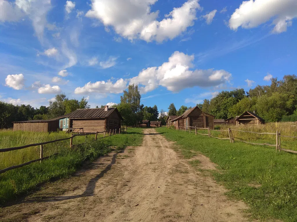 Деревенский дом в поле, фото 7