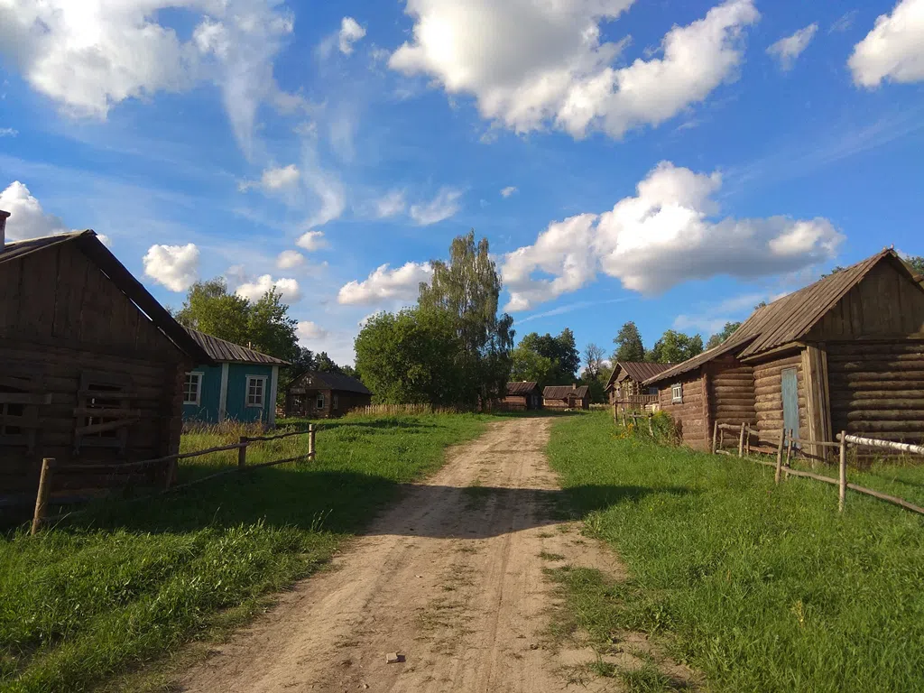 Деревенский дом в поле, фото 8