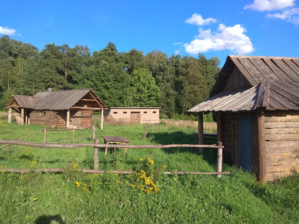 Деревенский дом в поле, фото 11